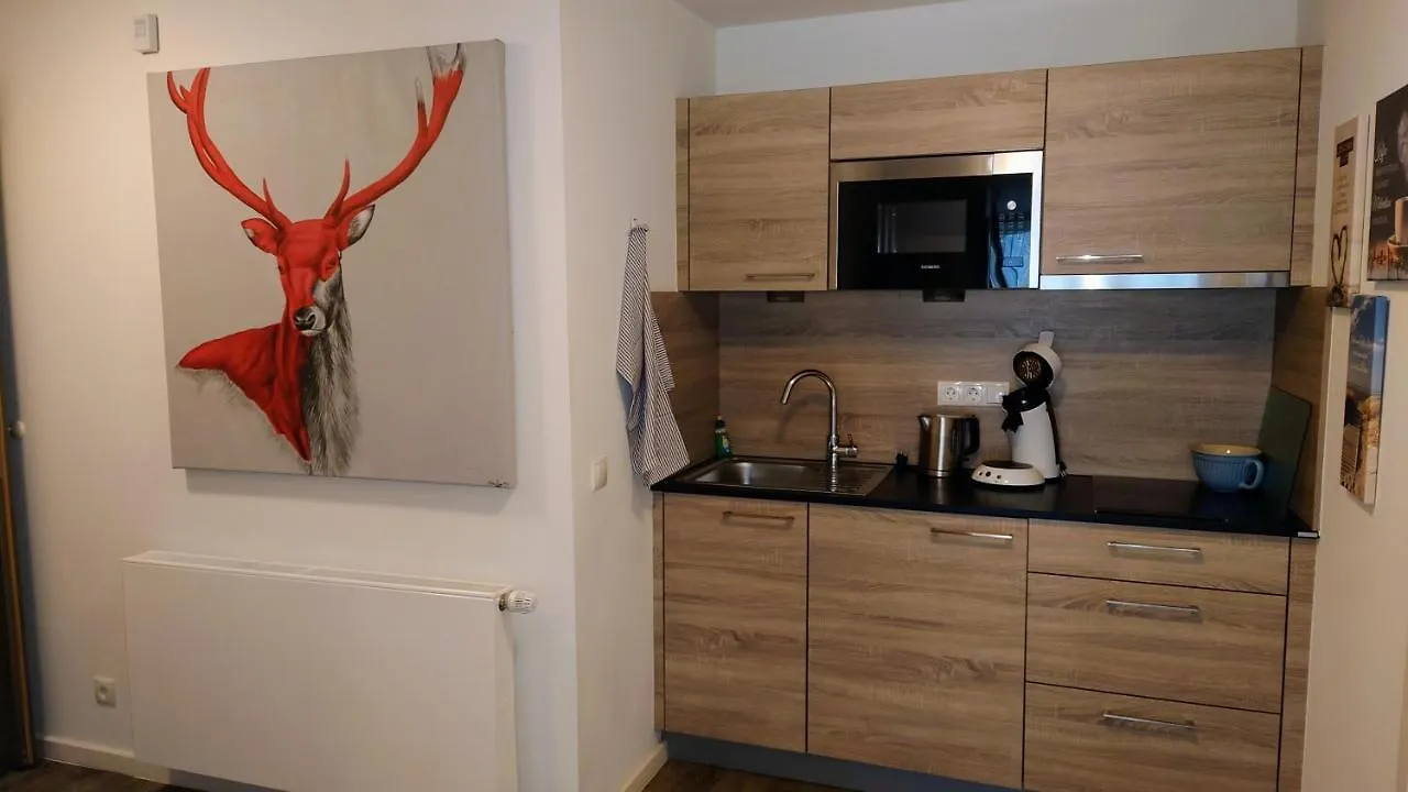 Apartment Maurers Schlierseetraum: Renovated Studio with Private Terrace Germany