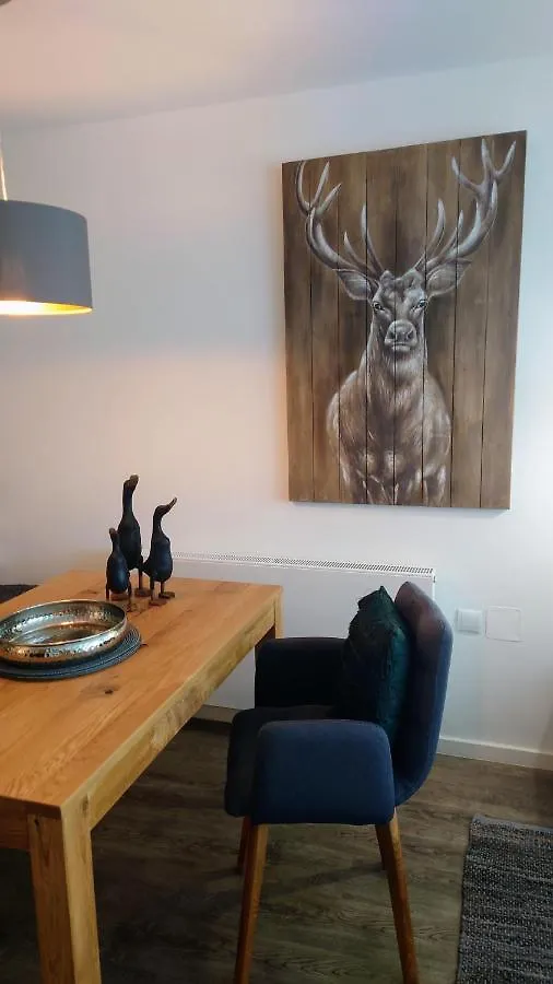 Apartment Maurers Schlierseetraum: Renovated Studio with Private Terrace